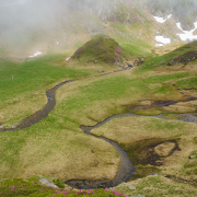 Căldarea Podragului, Valea Podragului, Rezervatia Golul Alpin al Munților Făgăraș